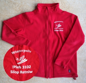 2013